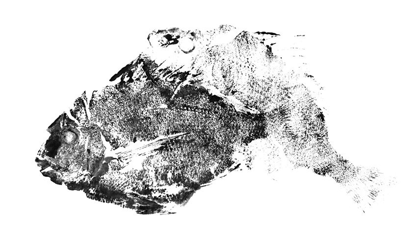 "Gyotaku" The Art of Japanese Fish Printing!